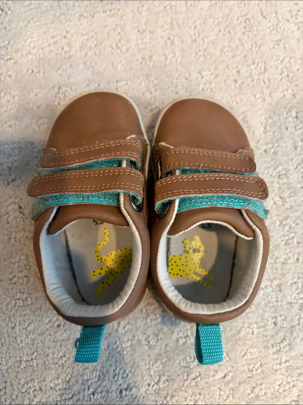 Ten Little Brown Everyday Original Sneaker | 5.5 (old sizing)